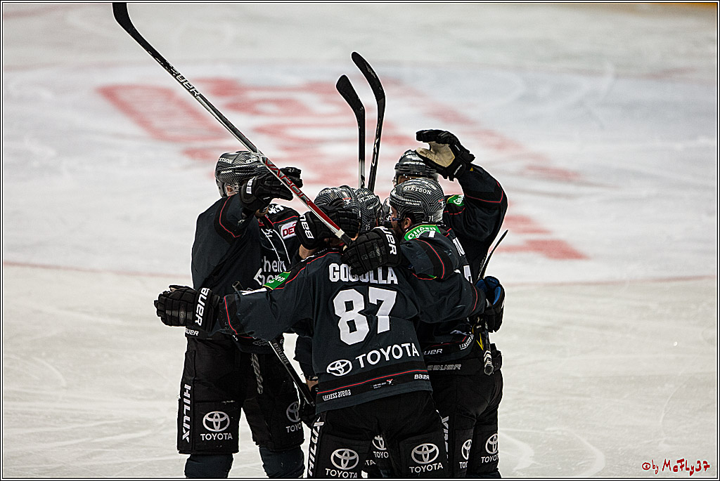 DEL, Koelner Haie - Nuernberg Ice Tiger, 24.01.2017
